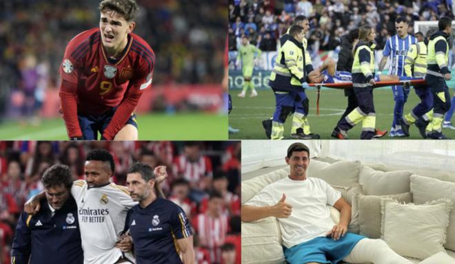 国羽在本届 国羽在本届