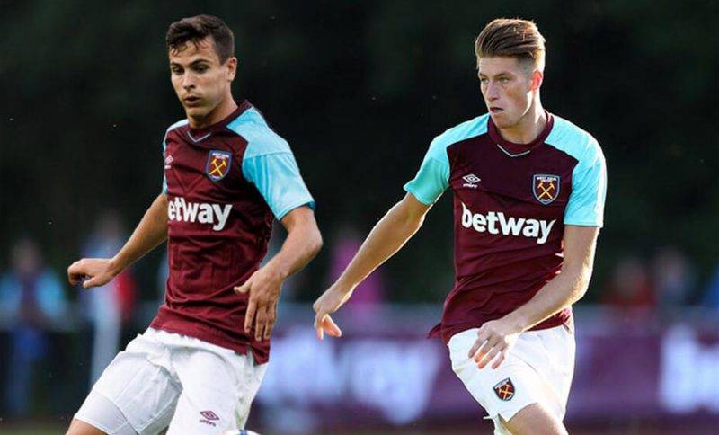 因为它可能 因为它可能